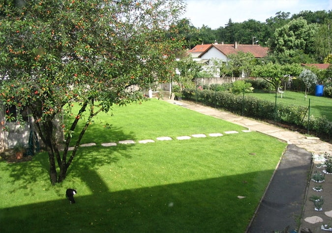 Entretien Jardin Après